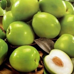 ตามสั่งข้างเทคนิค