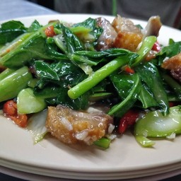 ผัดผักคะน้า