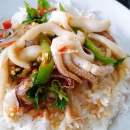 กระเพราปลาหมึกราดข้าว