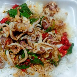 ข้าวราดกะเพราหนวดปลาหมึก