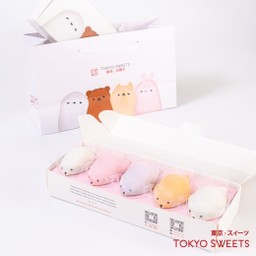 Gift Box 5 ชิ้น - โมจิแมวน้ำคละรส