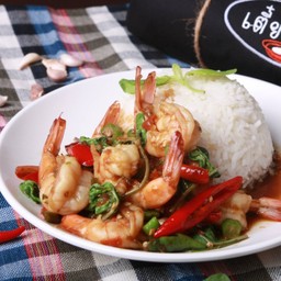 กระเพรากุ้งราดข้าว(ข้าวหอมมะลิ)