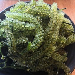 ส่าหร่ายพ่วงองุ่น100กรัม