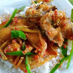 ผัดเผ็ดปลาช่อนราดข้่าว