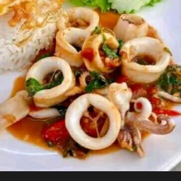 กระเพราหมึกราดข้าวไม่รวมไข่ดาว