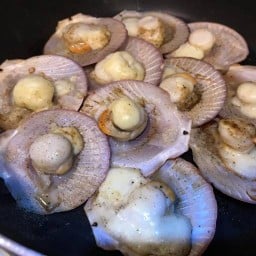 คอยหอย Koi Hoi