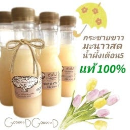 ใบไม้ ข้าวไข่เจียวทรงเครื่อง แมงกระพรุนลวกน้ำมันงา กรุบกรึบ จิ้มหม่าล่า ซีฟู๊ด ตลาดนัดฤทธิ์สุข ตลาดนัดฤทธิ์สุข