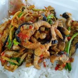 ผัดเผ็ดปลาไหลราดข้าว