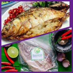 แวะมานี่