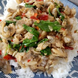 ข้าวกะเพราหอยลาย