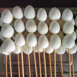 ไข่นกกระทา