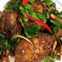 ผัดกระเพาปลาดุกทอดกรอบราดข้าว