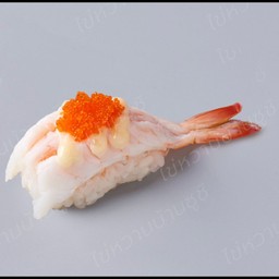 กุ้งสลัด