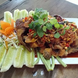 ปลานิลลุยสวน