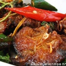 ข้าวขาหมู ข้าวราดแกง ปตท