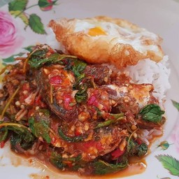 ผัดกระเพราปลากระป๋อง (ราดข้าว)