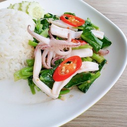 คะน้า ปลาหมึก