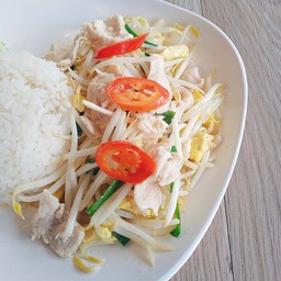 ผัดถั่วงอก ไก่.