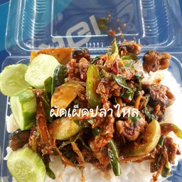 นกกระตั๊วอาหารป่า