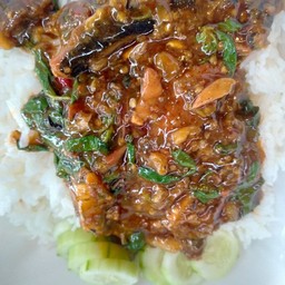 กระเพราปลากระป๋องราดข้่าว