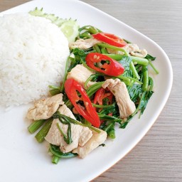 ผักบุ้ง ไก่