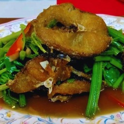 ปลาช่อนผัดขึ้นฉ่าย