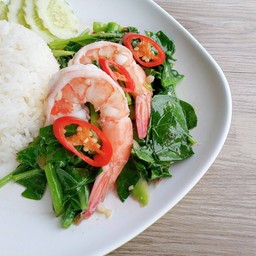 คะน้า กุ้ง