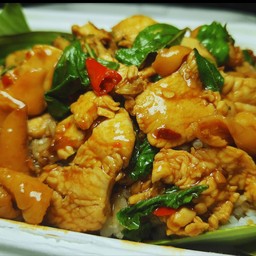 กะเพราไก่