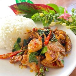 ผัดเผ็ดราดข้าว