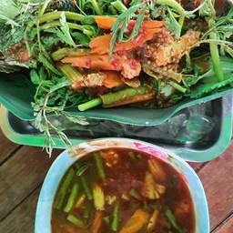 ปลาช่อนแป๊ะซะ