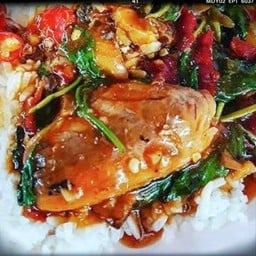 กะเพราปลากระป๋องราดข้าว