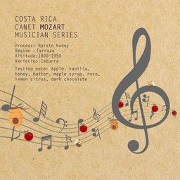 Costa rica Mozart Drip Ice