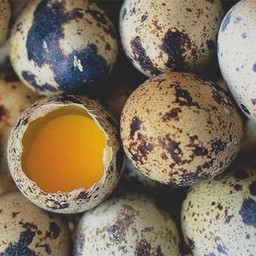 ก ไก่ จำหน่ายสินค้าแช่แข็งพร้อมทาน