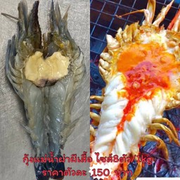 กุ้งแม่น้ำ ตัวโตๆ