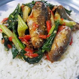 ผัดคะน้าปลากระป๋อง (ราดข้าว)