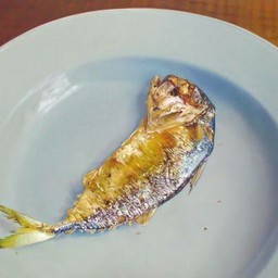 ปลาทูย่าง 1 ตัว 13cm