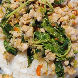 ผัดกระเพราหมูสับราดข้าว