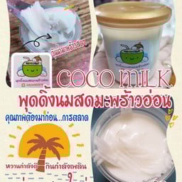พุดดิ้งนมสดมะพร้าวอ่อน COCO MILK