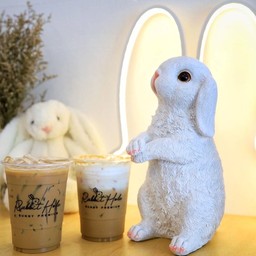 มอคค่่า