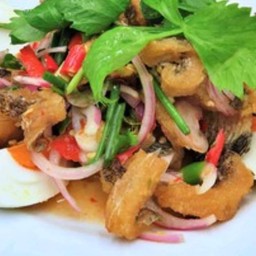 ยำปลาสลิต + ไข่เยี่ยวม้า