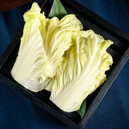 ผักกาดขาว