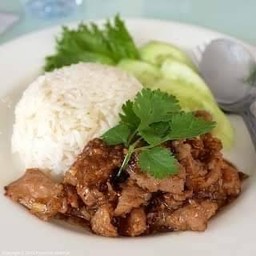 หมูทอด กระเทียมพริกไทย_ ราดข้าว