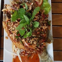 กะพงลุยสวน