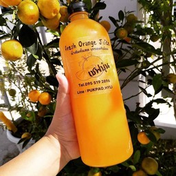 Make A Wish Bakery Chef Boon