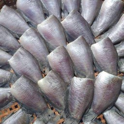 อรไพลินปลาสลิดแดดเดียว  ตลาดออเงิน