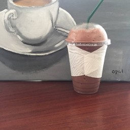 โกโก้ดีไลท์