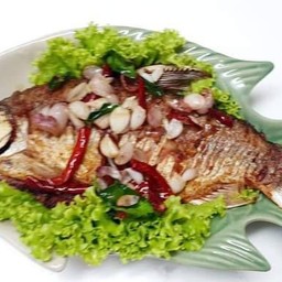ช.ช้าง ปลาจุ่ม  สาขากาฬสินธุ์