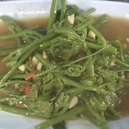 ยอดมะระไฟแดง