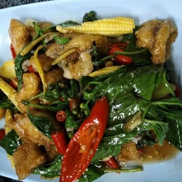 กะพงผัดฉ่า