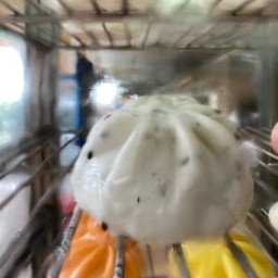 เปาถั่วดำ black bean bun
